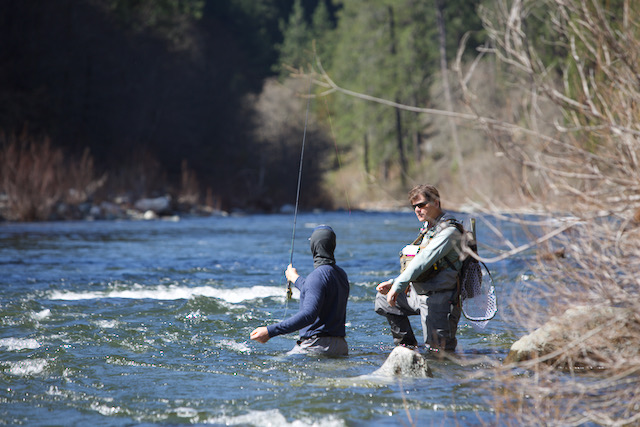 Downieville Fly Fishing Guide