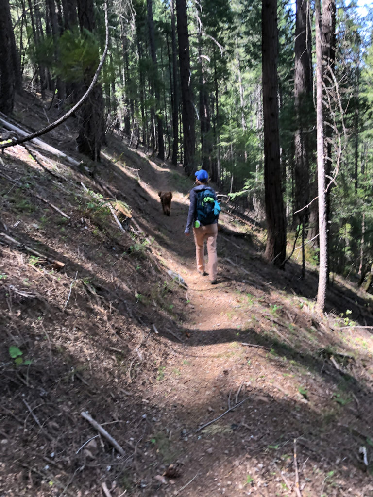 hiking North Yuba Trail