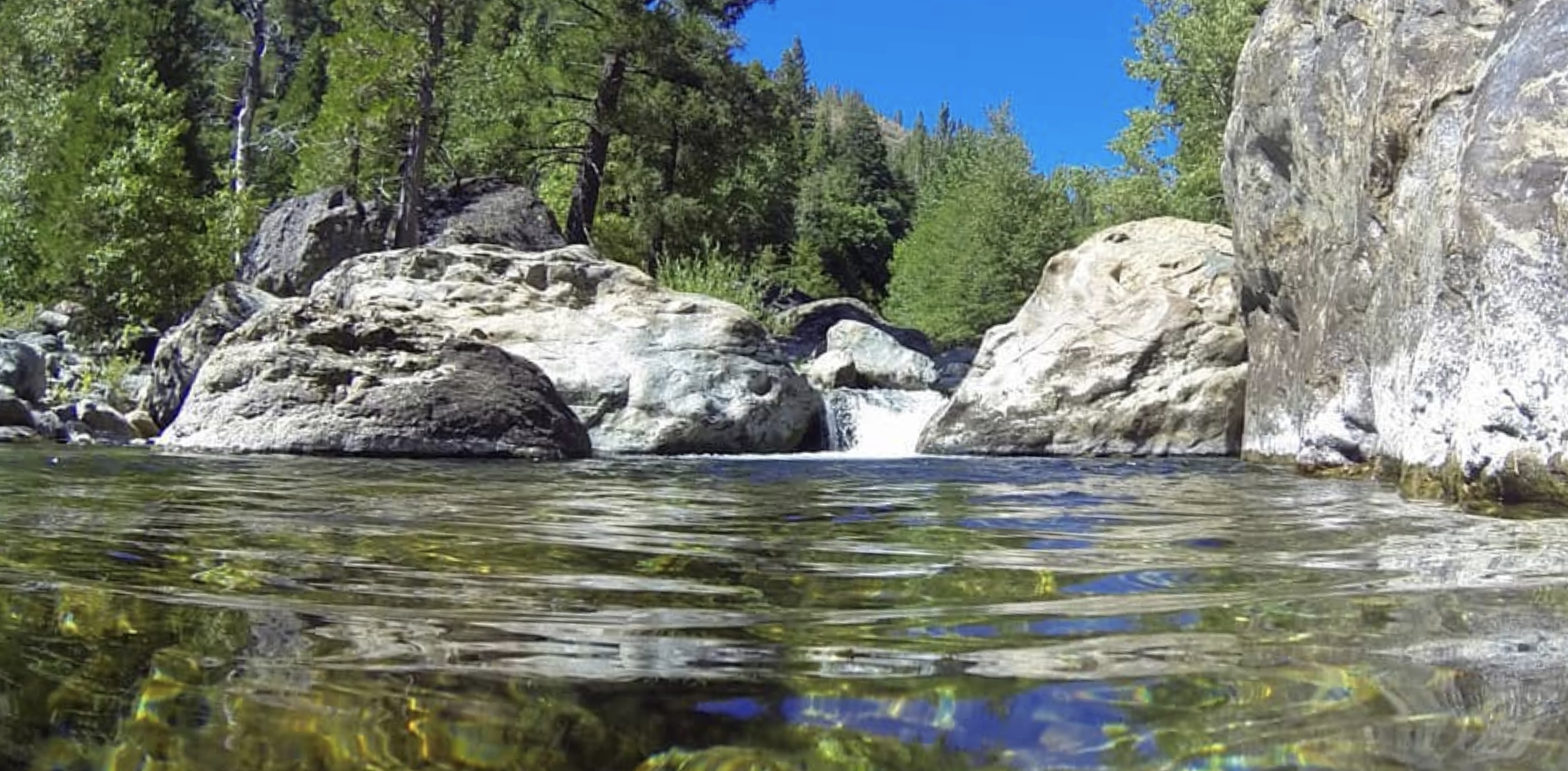 North Fork Yuba River 1016 Martin Cleary