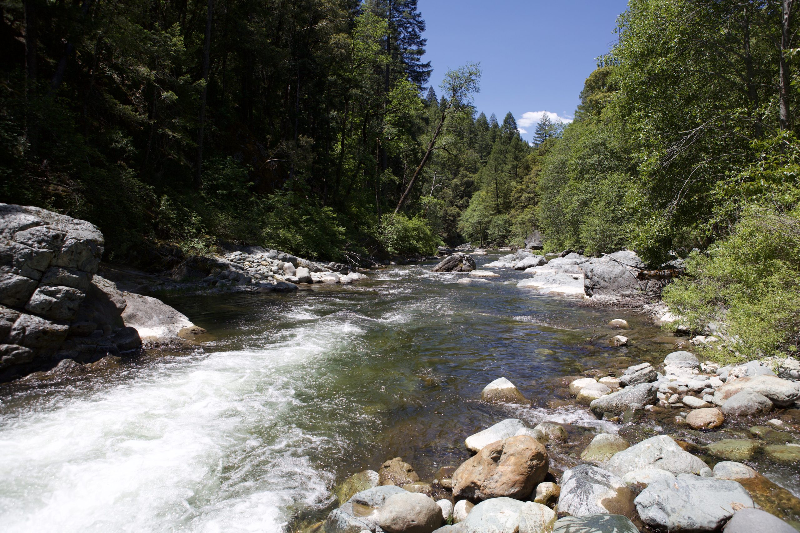 North Yuba River upper sections