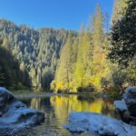 Fall Color North Yuba River