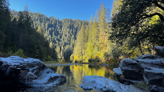 Fall Color North Yuba River