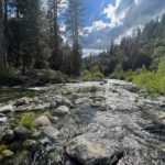 North Fork Yuba Fly Fishing 2022