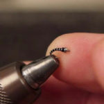 Zebra Midge Fly