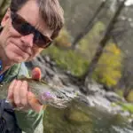 Fly Fishing North Fork Yuba River Fall 2023